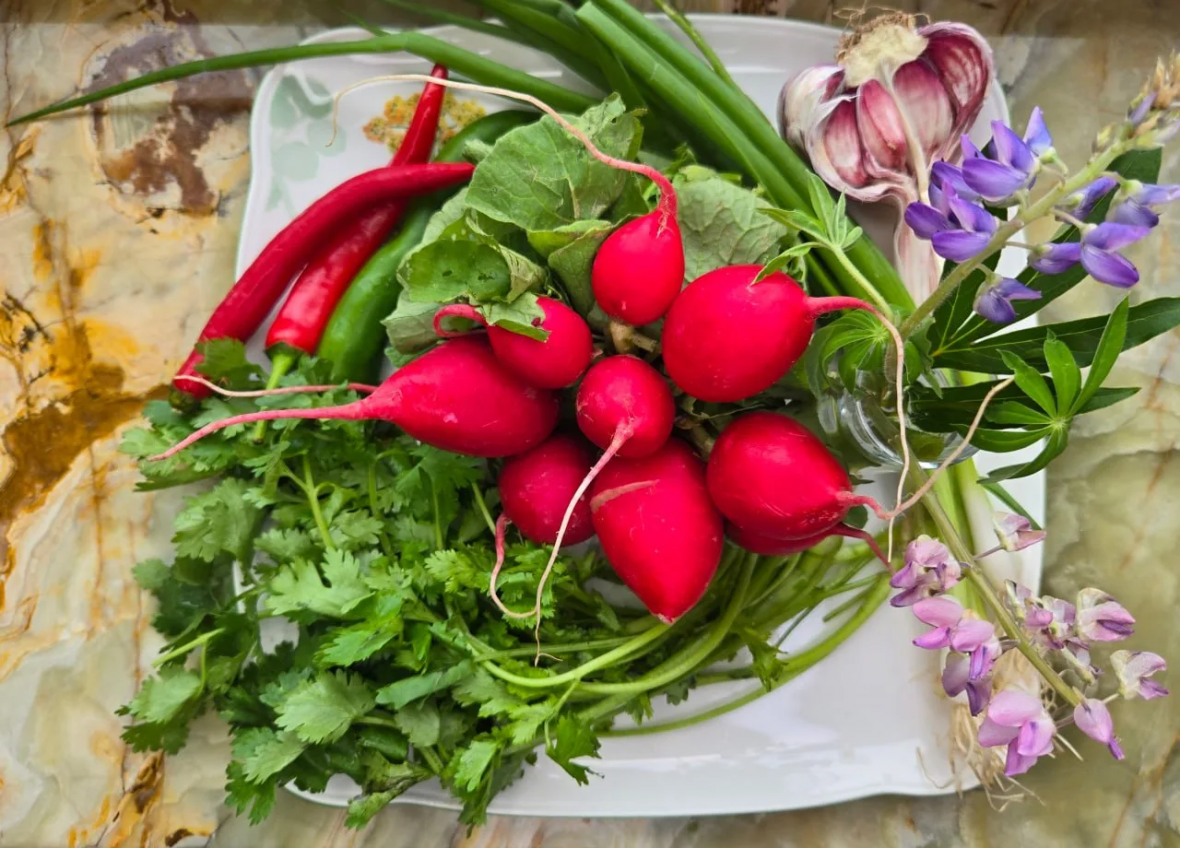 Редис кимчи – яркая и полезная весенняя закуска